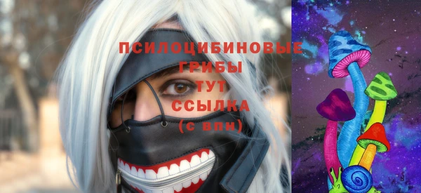 2c-b Абинск