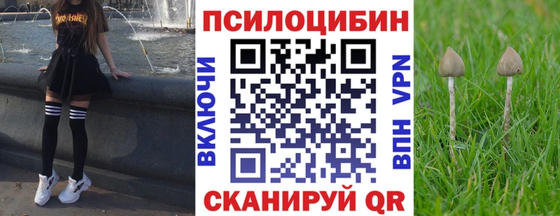 Псилоцибиновые грибы мицелий  Усолье 